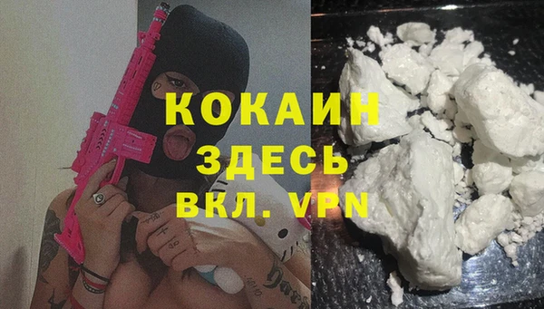 гашик Алзамай
